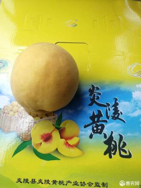 黄桃生长酸碱度