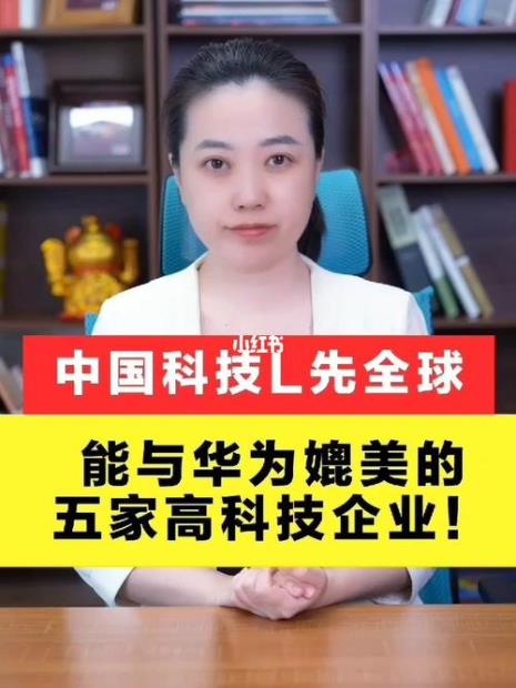 华为是高科技公司吗
