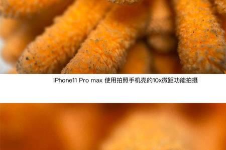 手机长焦可以当作微距吗