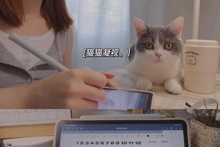 ipad 写字最好的软件