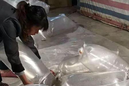 快递斗鱼在氧气袋里能活几天