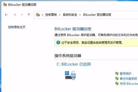 win11家庭版文件无法加密