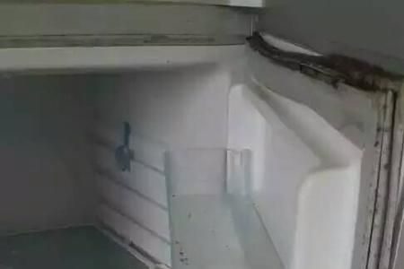 冰箱从什么地方清洗