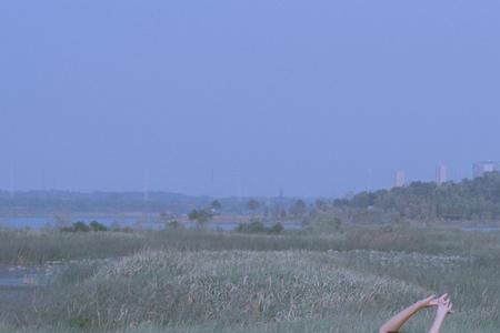 50mm镜头适合拍风景吗