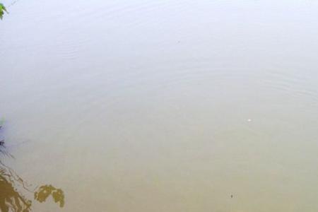 五月雨后钓浅还是深