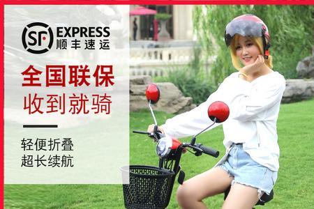 可折叠电动自行车什么牌子好