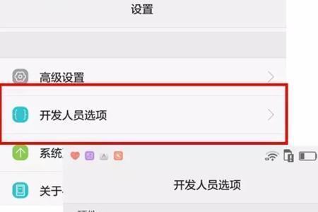 vivo手机怎样进入开发者选项