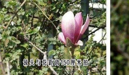 为什么调了光圈景深不变