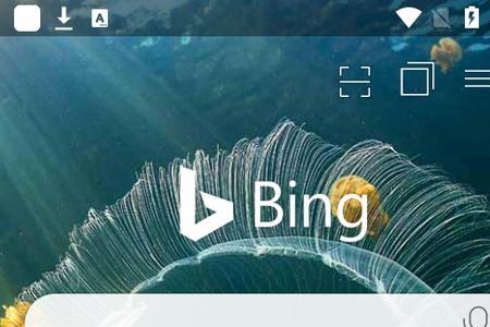 bing bar是什么软件
