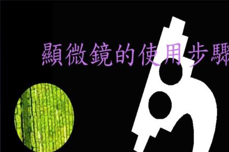怎样分辨高倍物镜和低倍物镜