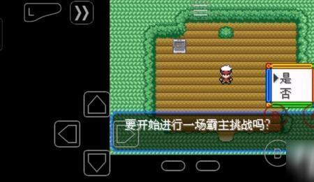 绿宝石卡比兽怎么学会诅咒