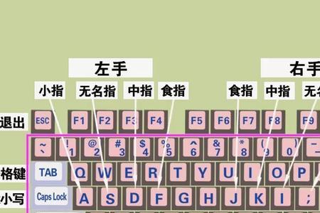 5年级标准打字速度