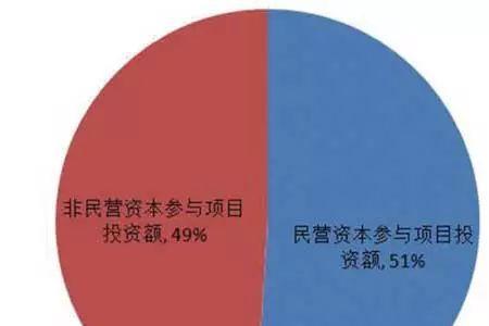 社会资本模式是什么意思
