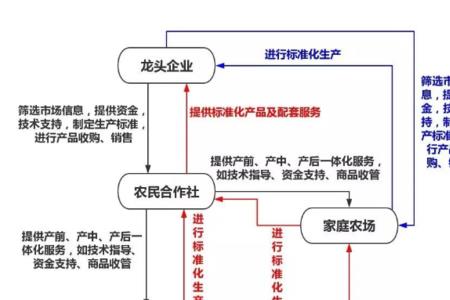 体系发展是什么意思