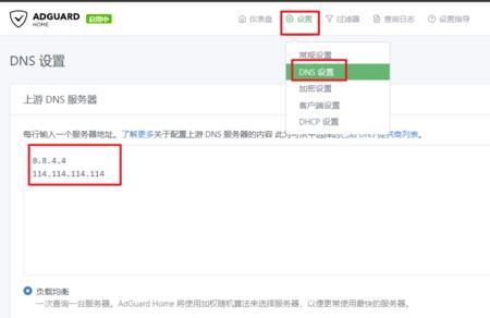 头条dns设置