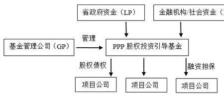 pro项目是什么意思