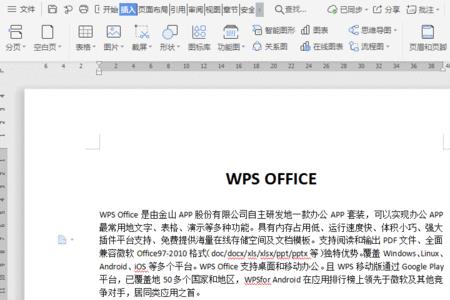 WPS致谢没办法插入分页符