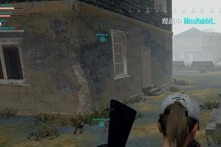 pubg队友麦克风音量怎么降低
