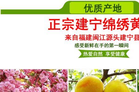 黄桃五月份怎么管理
