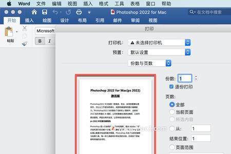 如何设置PDF打印Word文档