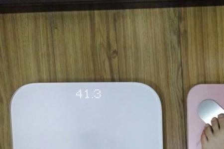 多锐体脂秤准吗