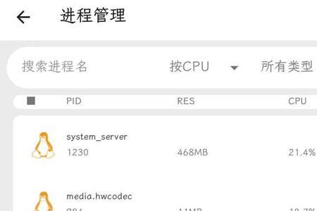 化学RAM是什么意思