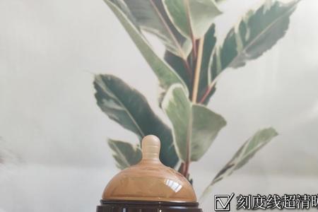 世喜大棕瓶有她独特的特点