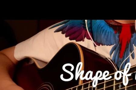 歌曲《shape of my heart 》的意思是什么