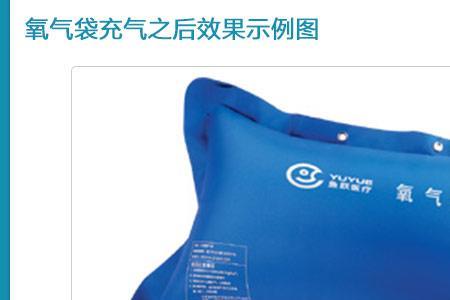 氧气袋去哪里充氧气