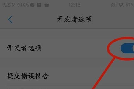 vivox21开发者选项怎么打开