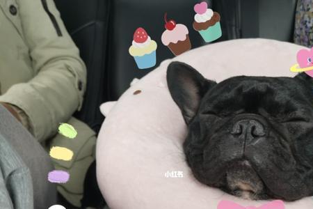 你比猪可爱多了怎么回答