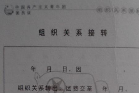 单位入团时间是什么意思