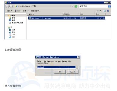 vnc服务器填什么