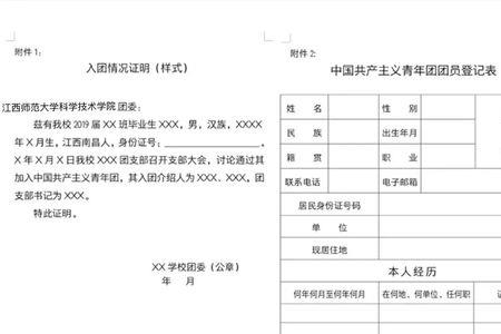 40岁去哪里查入团时间