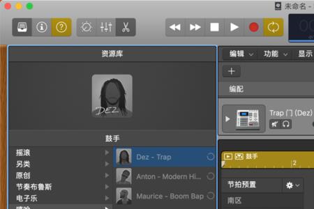 pro在音频里什么意思