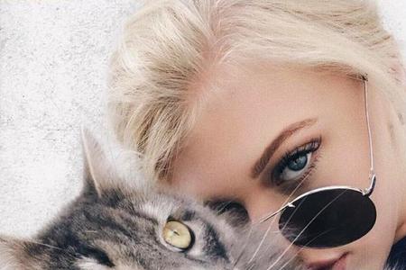 用猫做做头像的女生是什么性格