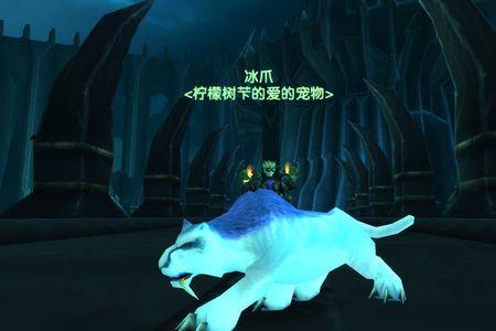 猎人宝宝拉不住仇恨WOW