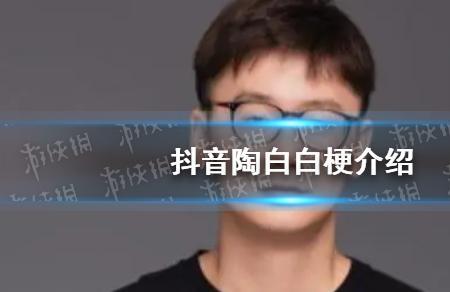 抖音是什么梗