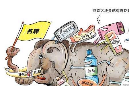 产品同质化是什么意思