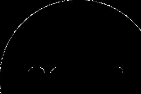 svg png swf有什么区别