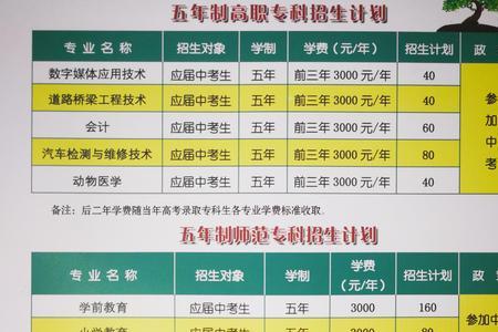 一年制大专是什么学校