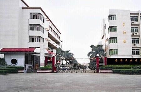 广州市番禺区大石中学怎么样
