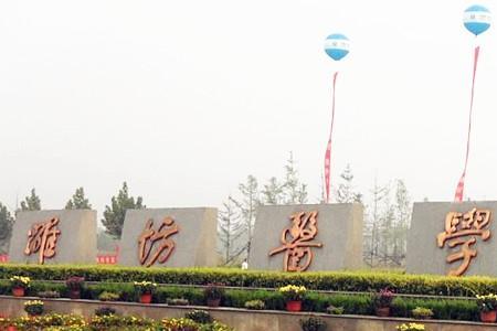山东中医学院是几本