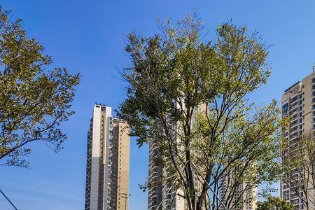 深圳大学全名是什么