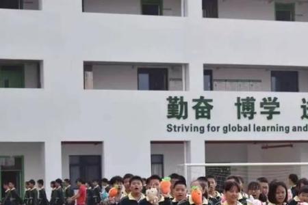 海南枫叶高中怎么样