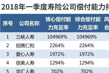 中国人保健康保险公司十大排名