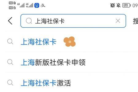 上海社保可以通过支付宝查询吗