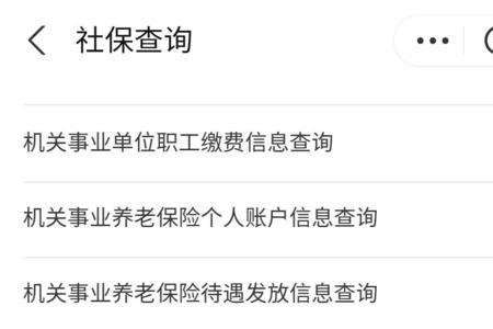 河南儿童社保怎么查询