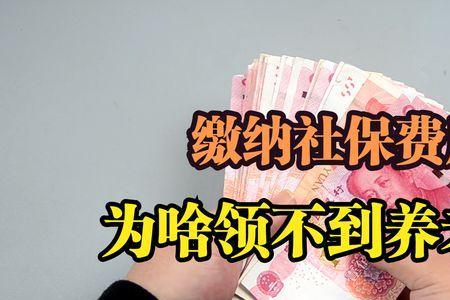 找中介补交社保靠谱吗