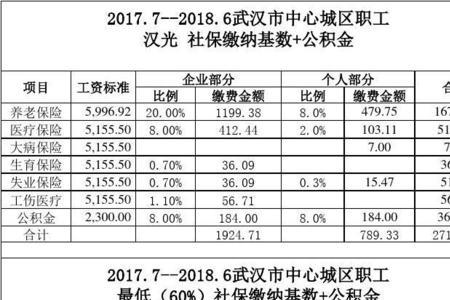 武汉社保每月最晚什么时候交
